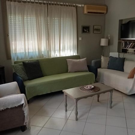 Εξοχικό Roxani Villa Ambelakia Exterior photo