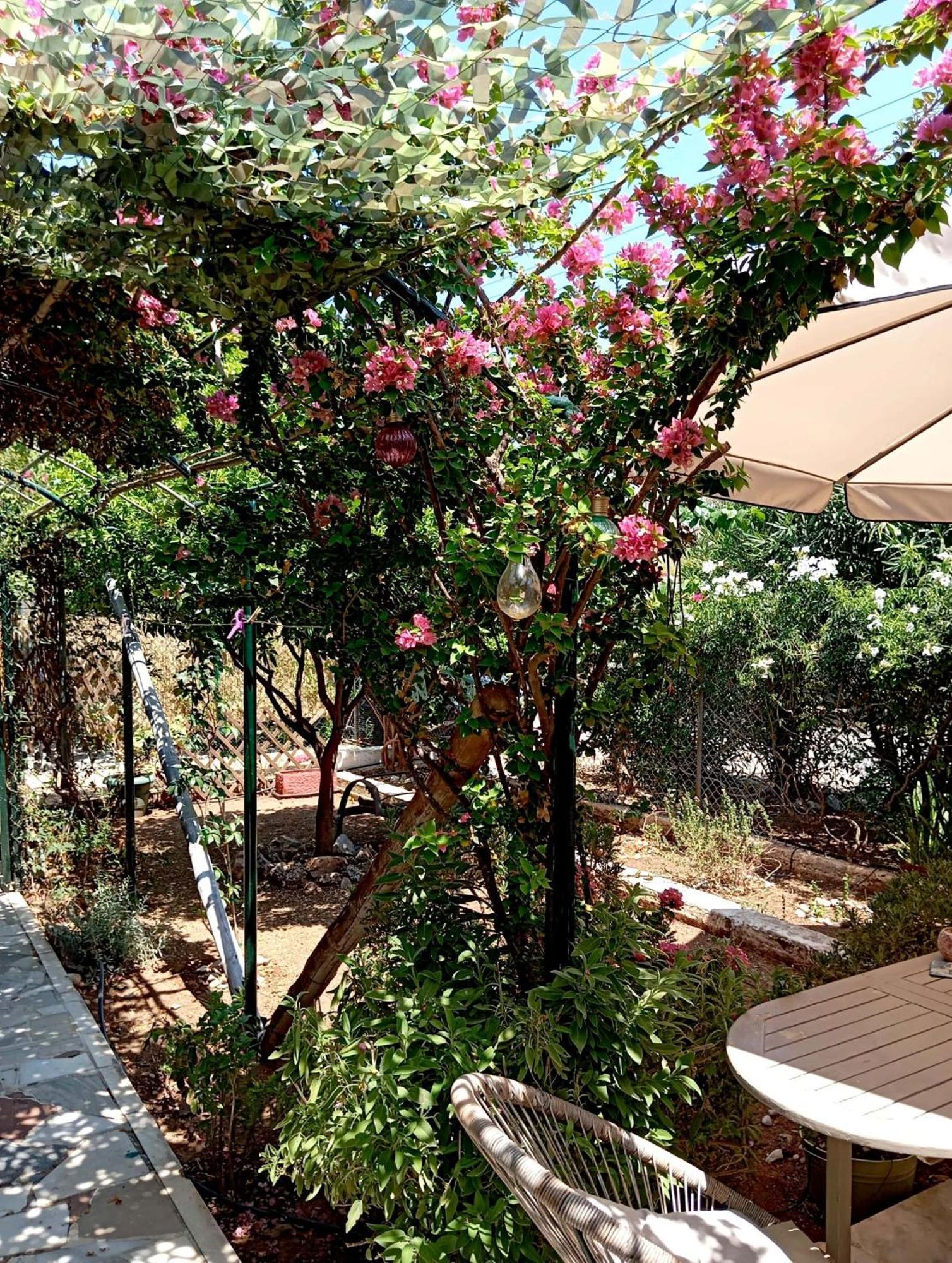Εξοχικό Roxani Villa Ambelakia Exterior photo