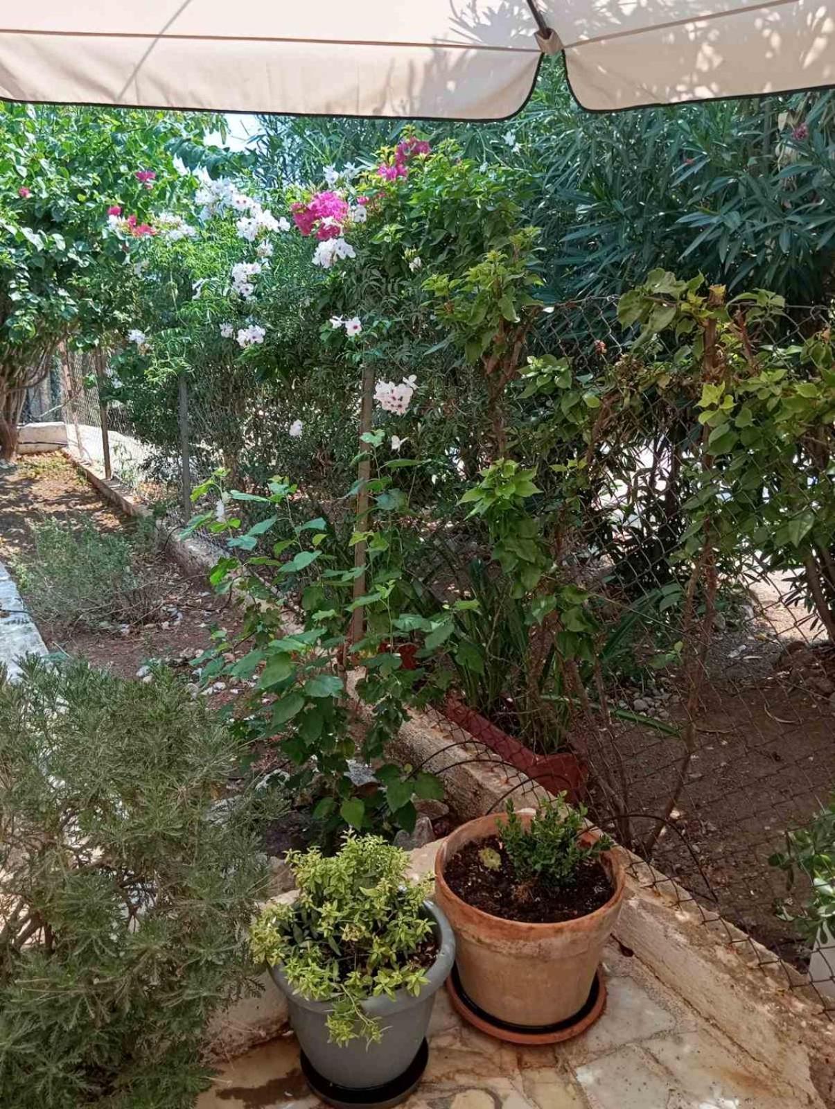 Εξοχικό Roxani Villa Ambelakia Exterior photo